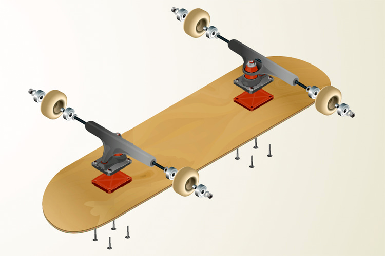 Skateboard: its three main components are the deck, the trucks, and the wheels | Illustration: Shutterstock