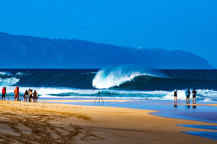 Surfing: a rich and vibrant source of adventures and wave-riding stories | Photo: Shutterstock