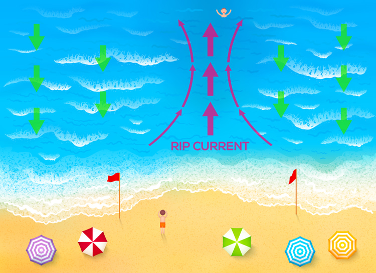 Rip currents, undertows, and rip tides: save energy and don't fight against ocean currents | Illustration: Shutterstock