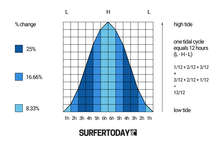 Rule of Twelfths: from low to high tide in 6 hours and 13 minutes | Illustration: SurferToday.com